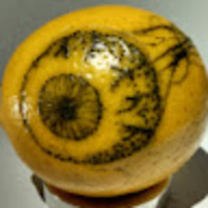 Meet your Posher, Claire